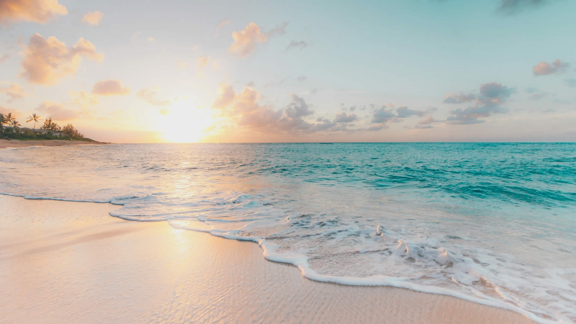 Ocean